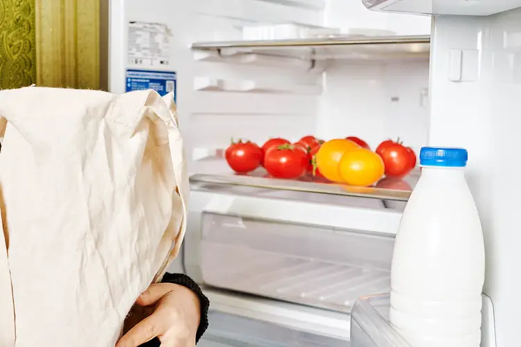 Deculter-the-fridge