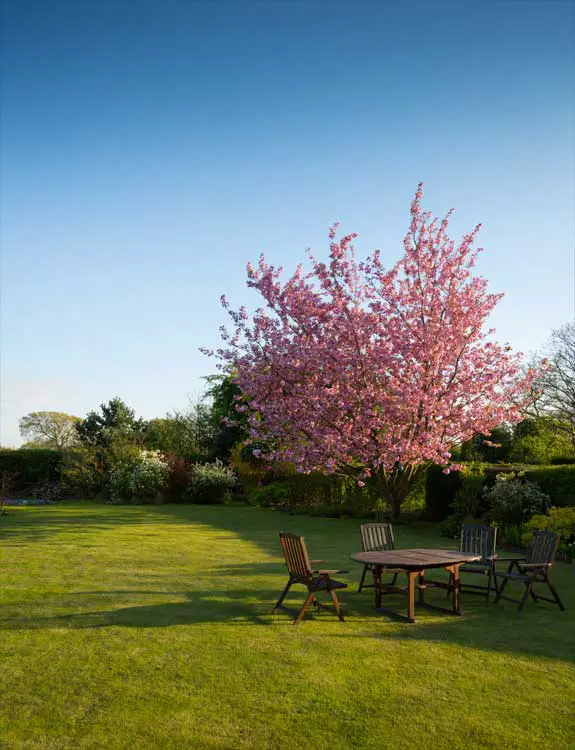 Outdoor-furniture