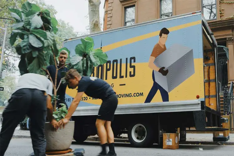 Professional-Movers
