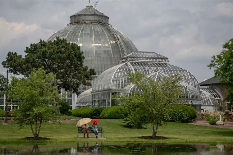Anna Scripps Whitcomb Conservatory