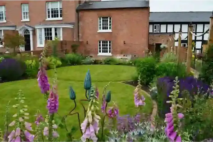 Shaped Lawns