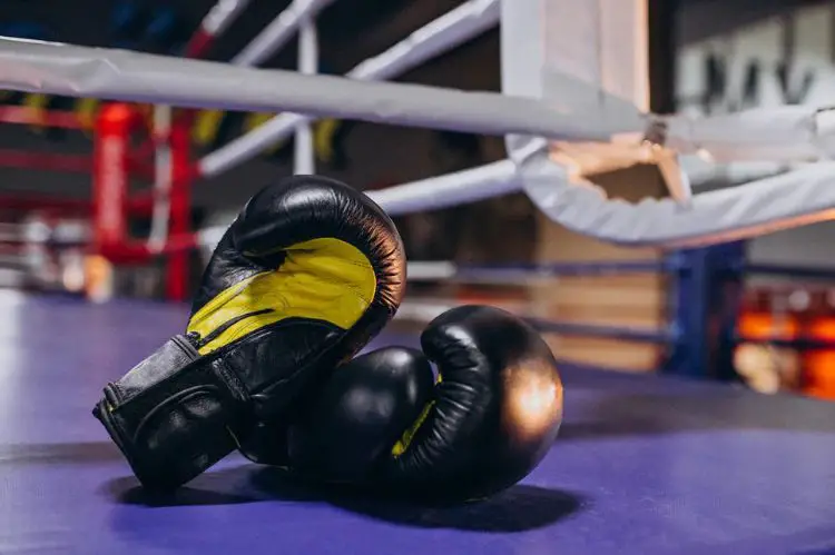Boxing Gloves-Lite boxer Fitness Bundle