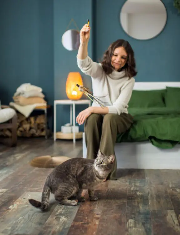 Eliminate boredom -Ways to Improve Your Pet’s Life