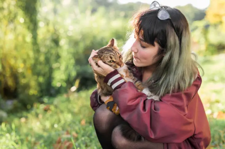 Spend time with them-Ways to Improve Your Pet’s Life