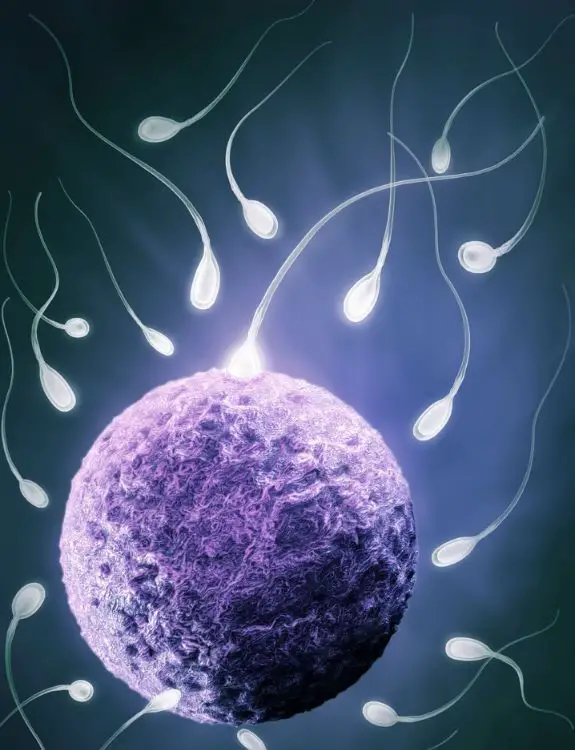 What Can Cause Male Infertility?