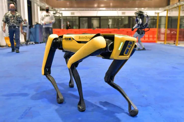 Robot Dogs