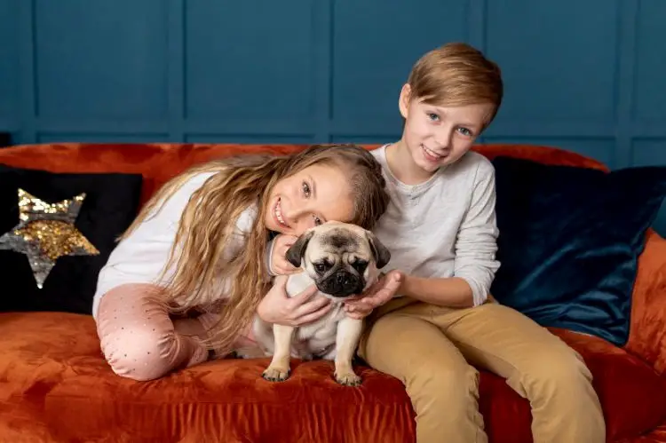 Protect your Valuables, Including Children and Pets-Home Improvement Tips
