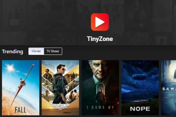 TinyZone