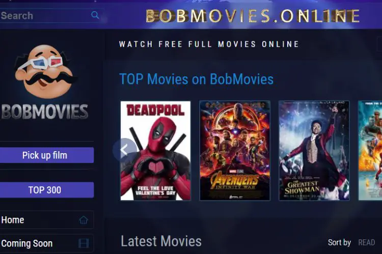 BobMovies-Bmovies Alternatives