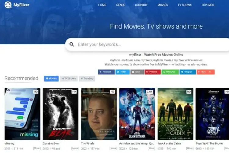MyFlixer-1movieshd Alternatives