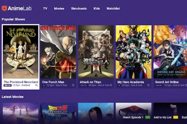 AnimeLab-AniCloud Alternatives