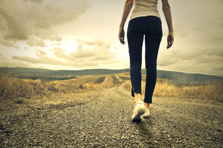 How Many Calories Does It Cost To Walk 8 Miles A Day