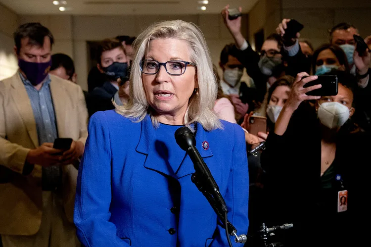 A dynamic illustration of Liz Cheney