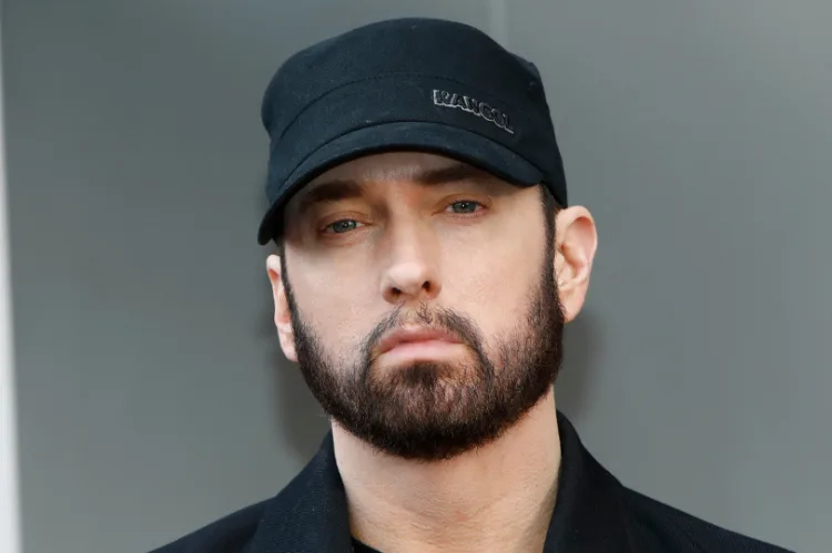 Financial breakdown chart concept with Eminem in the center