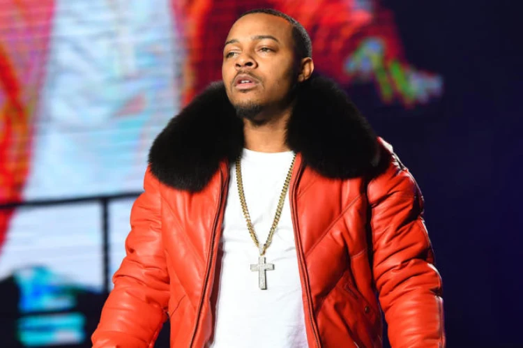 Visualize Bow Wow looking forward toward a bright horizon symbolizing financial recovery